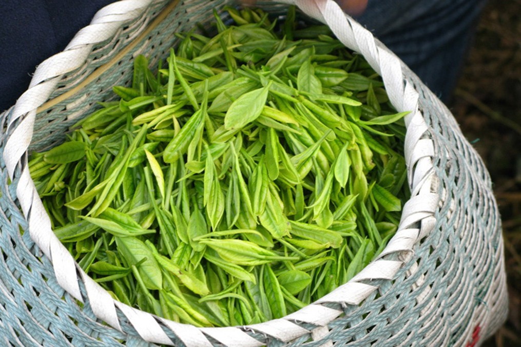 亚美神草园悟茶有限公司-产品名称六