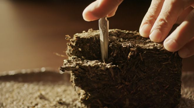 《安化黑茶》纪录片正式上线！探寻一盏茶汤里的致用密码(图4)