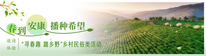 出发！来安康开启品茶道·汉水茶乡之旅！