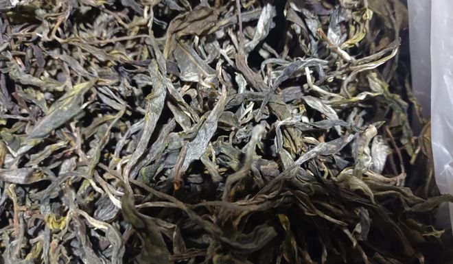 2025春茶：茶山原料价格下降！山头茶无法避免的价格战！(图5)