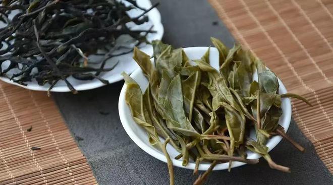 2025春茶：茶山原料价格下降！山头茶无法避免的价格战！(图9)