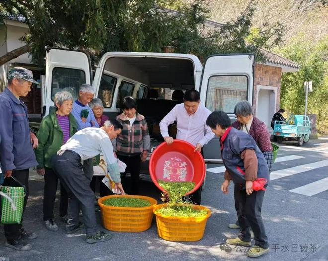 亚美娱乐-柯桥这片“金叶子”又开始发光了！