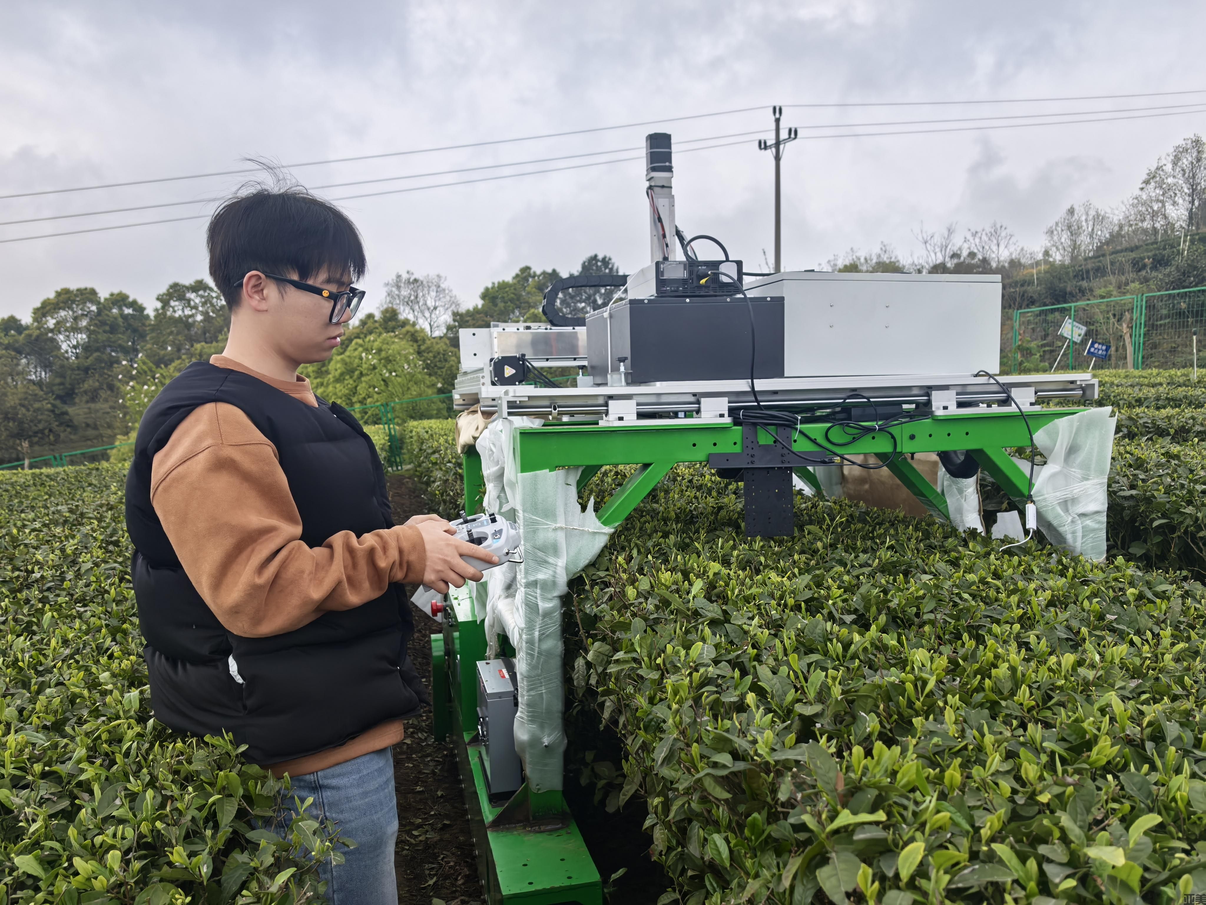 亚美娱乐-重庆首款山地名优茶智能采摘机器人上岗(图2)